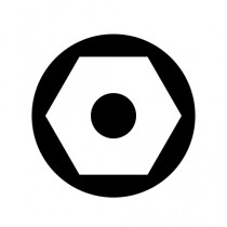 Pin Hex Security Fasteners