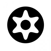 Pin Torx Security Fasteners