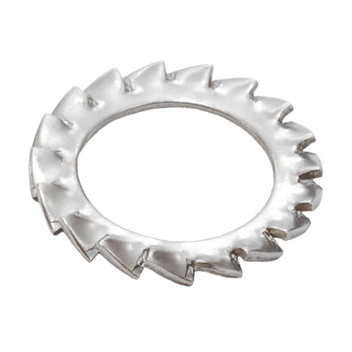 M8 External Serrated Lock Washer Stainless