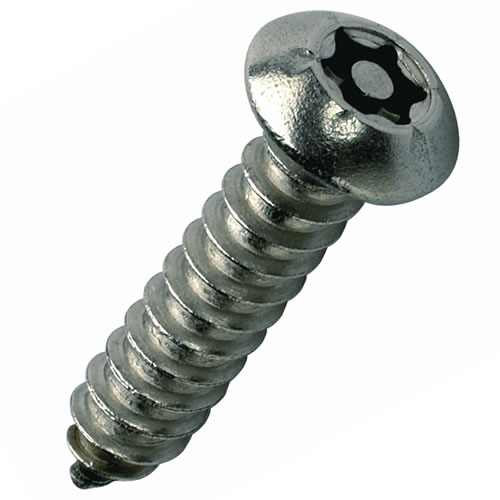 No6 x 1 inch Pin Torx Button Security